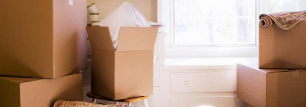  Mutari/Relocari sedii firme 